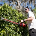 Hedge Trimmer - M18 Battery Powered
