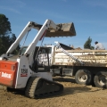 Skid-Steer - Bobcat T250